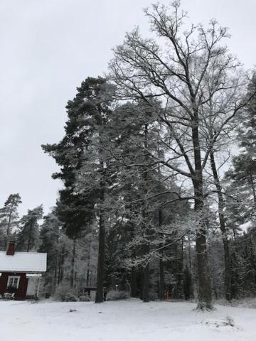Villa Tammikko Tuusula Exterior foto